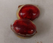 Load image into Gallery viewer, Deluxe Range Belgian Milk Chocolates Filled with Beeshack Honey